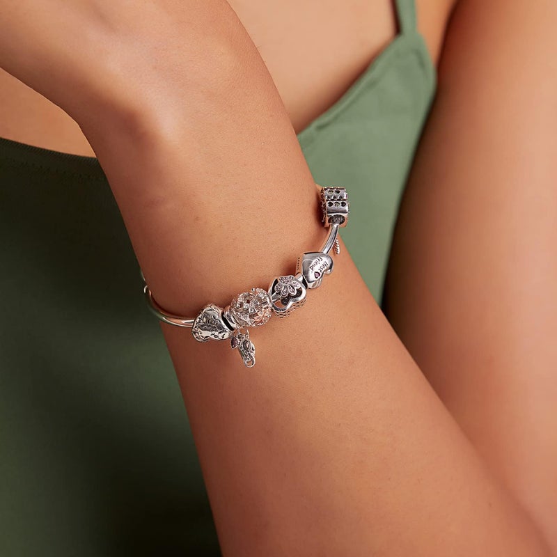 BABAMIA Store Rose Charm Heart Charms for Bracelets 925 Sterling Silver Bead Charm Fits Bracelets and Necklaces Paved with Cubic Zirconia Animal Skull Charm Dainty Halloween Charms Jewelry for Women Girls - Image 3